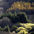 Chevennen - Frankreich